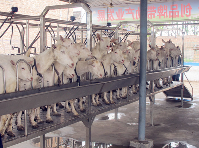 CG电子游戏(中国集团)官方网站