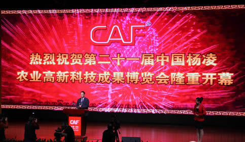 CG电子游戏(中国集团)官方网站