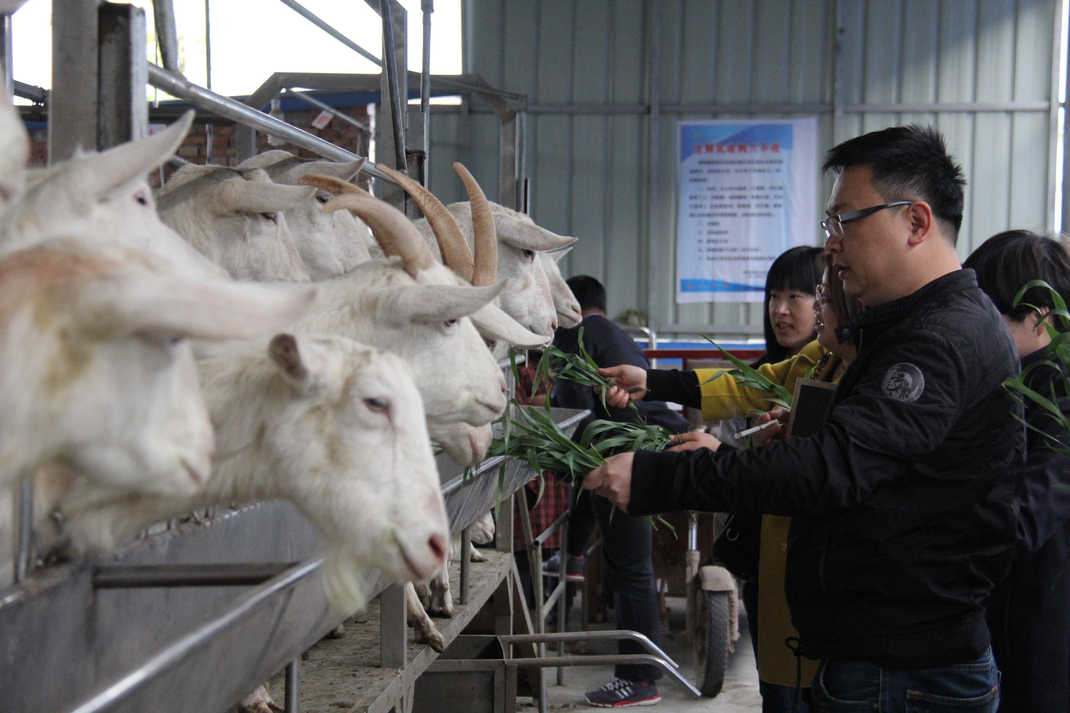 1574840226901398 CG电子游戏(中国集团)官方网站