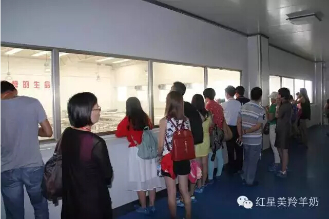 CG电子游戏(中国集团)官方网站