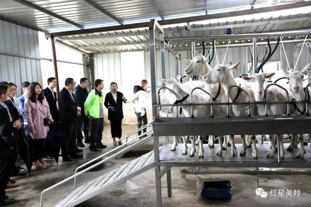1574909605320221 CG电子游戏(中国集团)官方网站