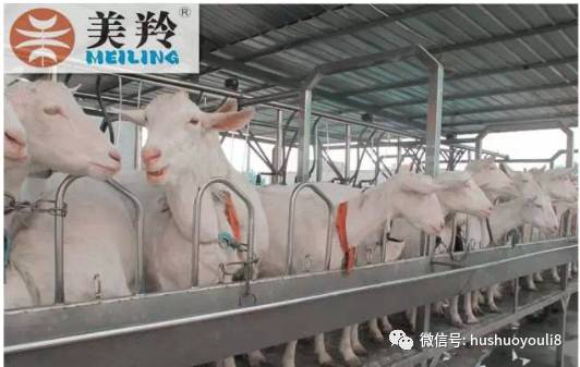 1574919407805551 CG电子游戏(中国集团)官方网站