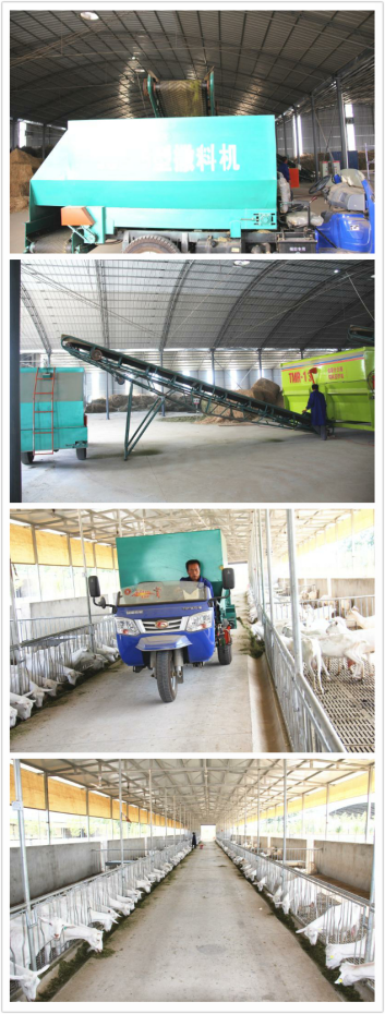 1574919992657671 CG电子游戏(中国集团)官方网站