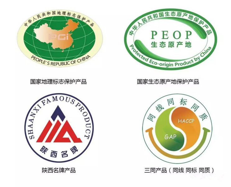 1574921066369576 CG电子游戏(中国集团)官方网站