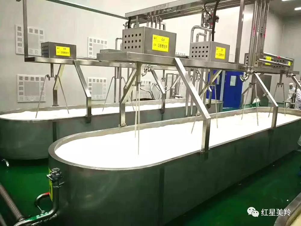 CG电子游戏(中国集团)官方网站