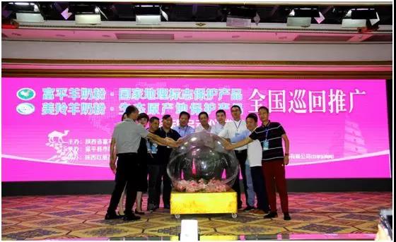 CG电子游戏(中国集团)官方网站