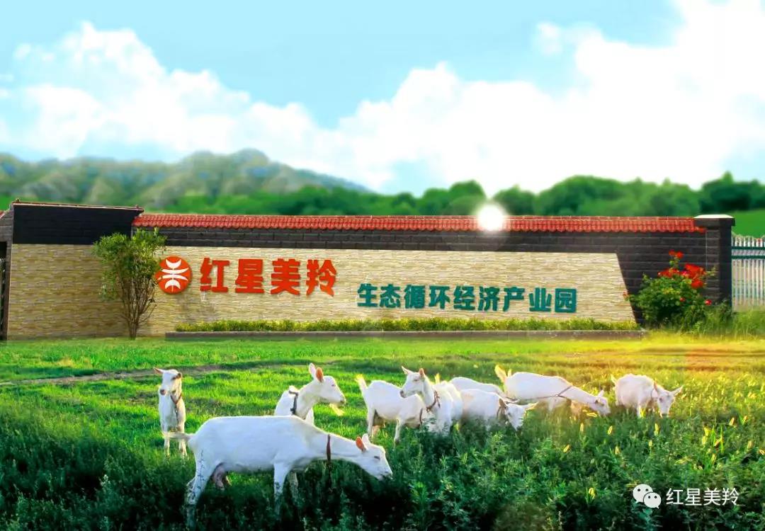 6-1Q20G1241R43 CG电子游戏(中国集团)官方网站