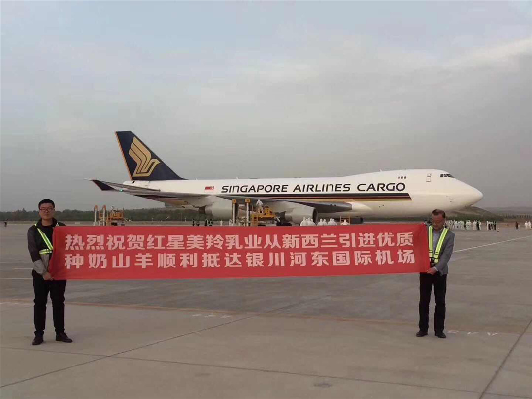 1574928902408819 CG电子游戏(中国集团)官方网站