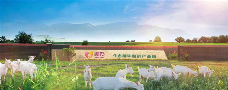 1575258431336296.png 图片1.png