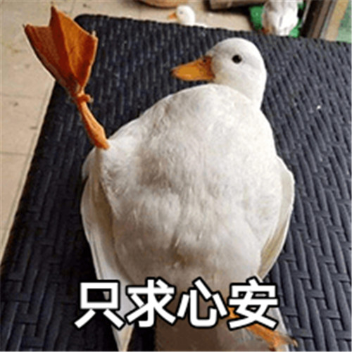 1575271545158646.jpg 图片6.jpg