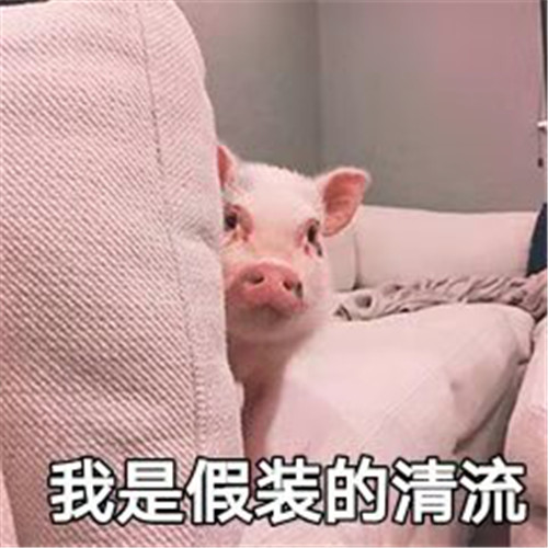1575271550673239.jpg 图片7.jpg