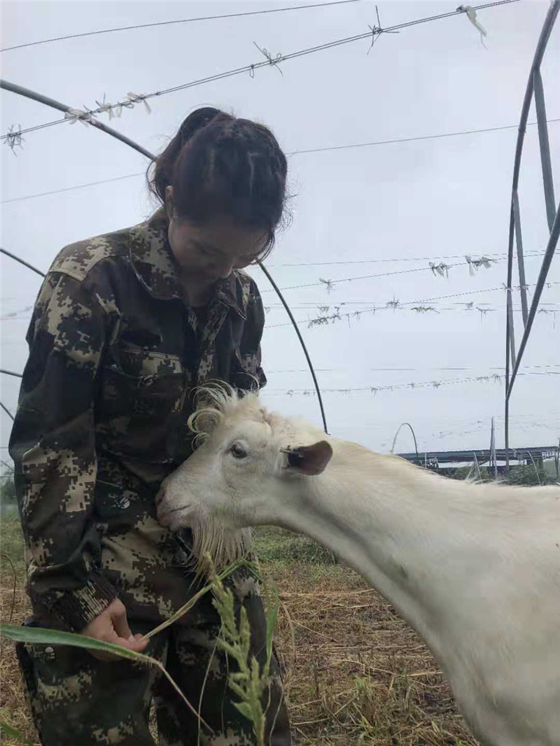 1575274233389919.jpg 微信图片_20191023152643.jpg