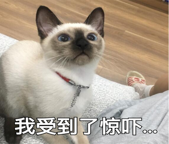 1575334072667255.png image.png
