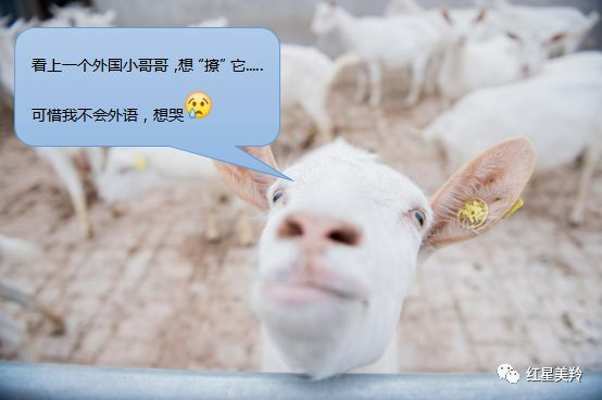 1575342778267181.png 图片.png
