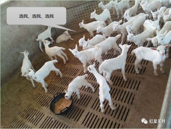 1575342898320708.png 图片.png