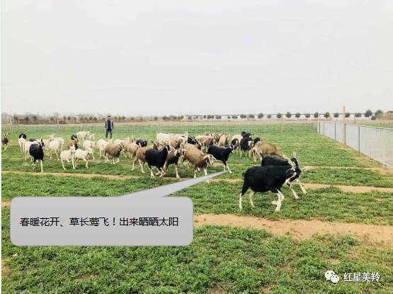 1575342915198147.png 图片.png