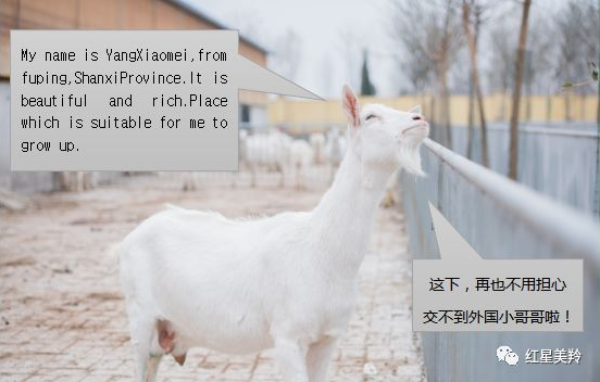 1575342931590996.png 图片.png
