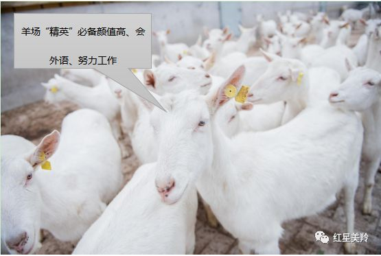 1575342941668128.png 图片.png