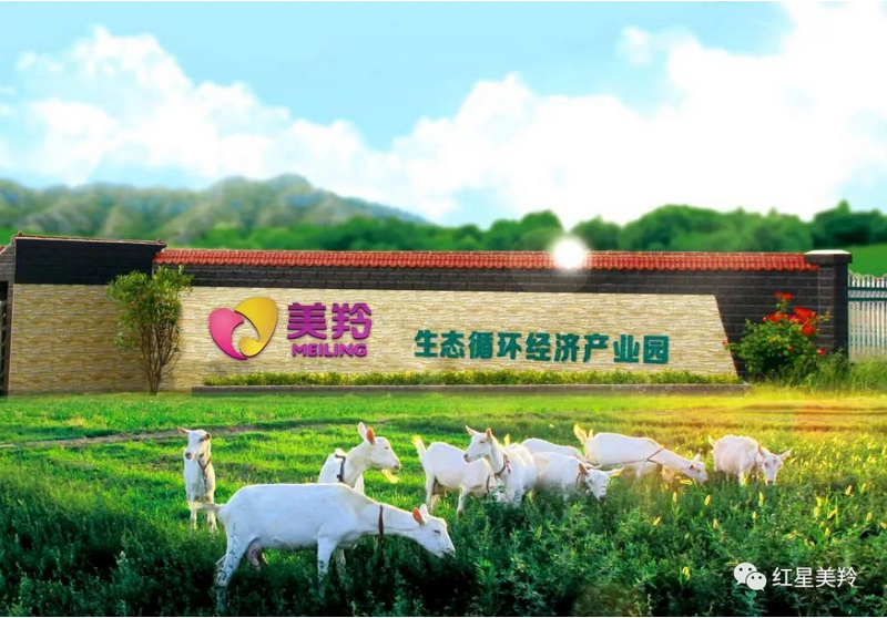1575343296733723.png 图片.png