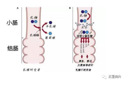 1575429707429902.png 图片.png