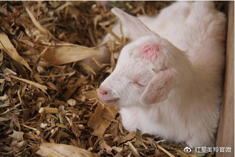 1575529657145305.png 图片.png
