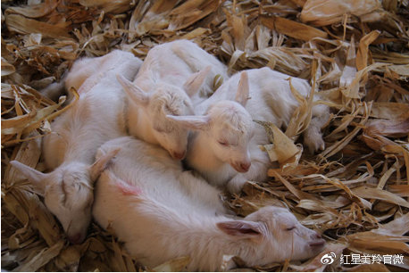 1575529721881688.png 图片.png
