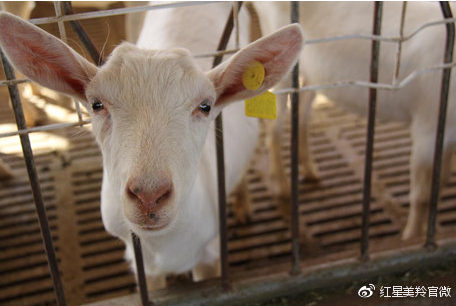 1575529762186204.png 图片.png