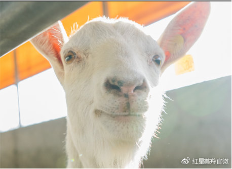 1575529823882367.png 图片.png
