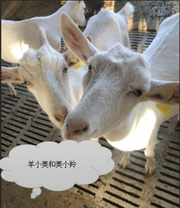 1575529857421647.png 图片.png