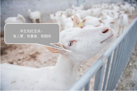 1575529868483351.png 图片.png