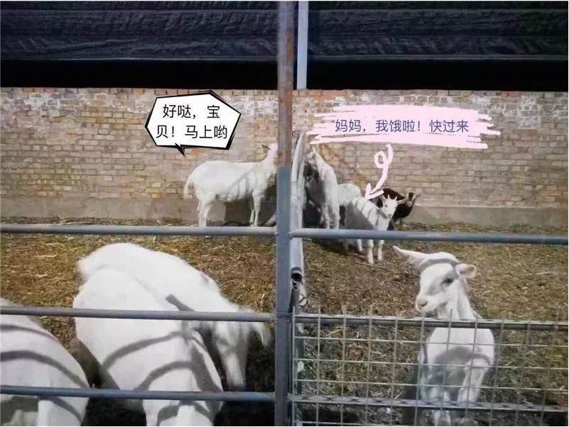 1577169872521296.png 图片.png