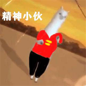 1579157648975647.jpg 图片4.jpg