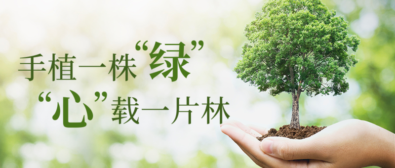 1584002980323857.jpg 图片2.jpg