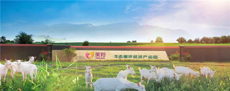 1587464075595904.jpg 图片10.jpg