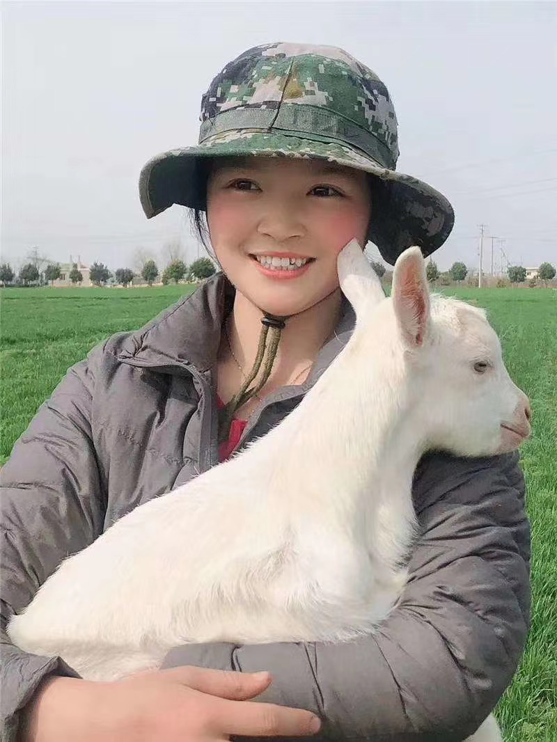 1588586365440215.png 图片1.png