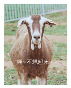 1591004151752195.png 图片.png