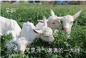 1591004178513240.png 图片.png