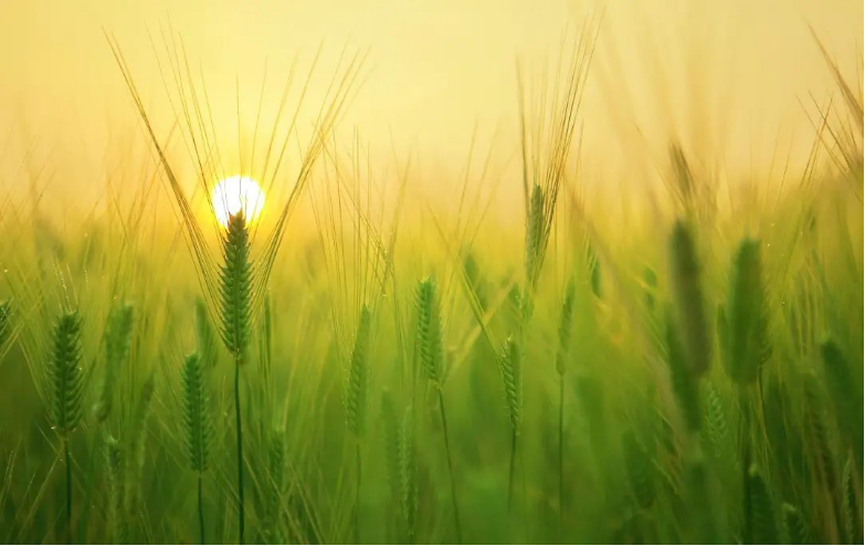 1591329418884819.png 图片.png