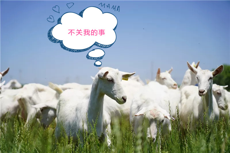 1593771003500373.jpg b613d0bef712d56e999b4a4e966c8f56_副本.jpg