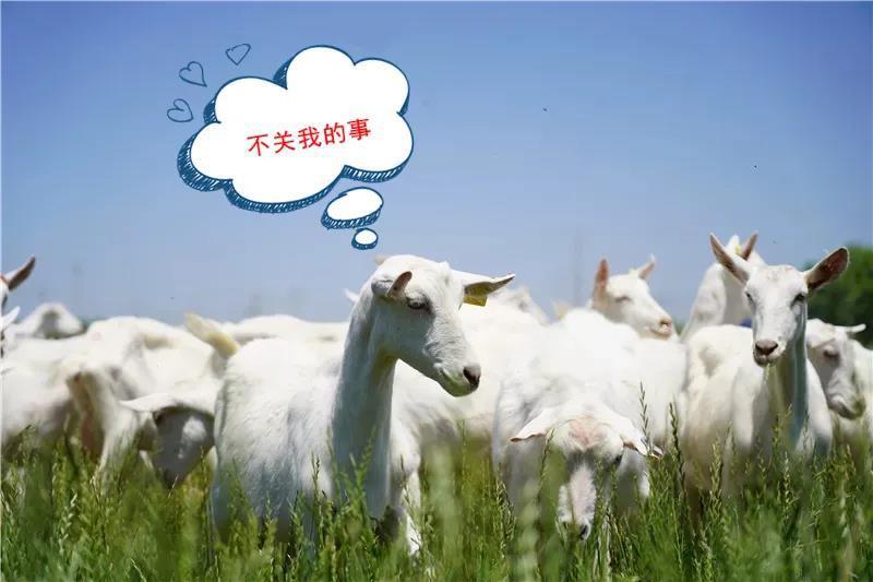 1594802483131462.png 图片1.png