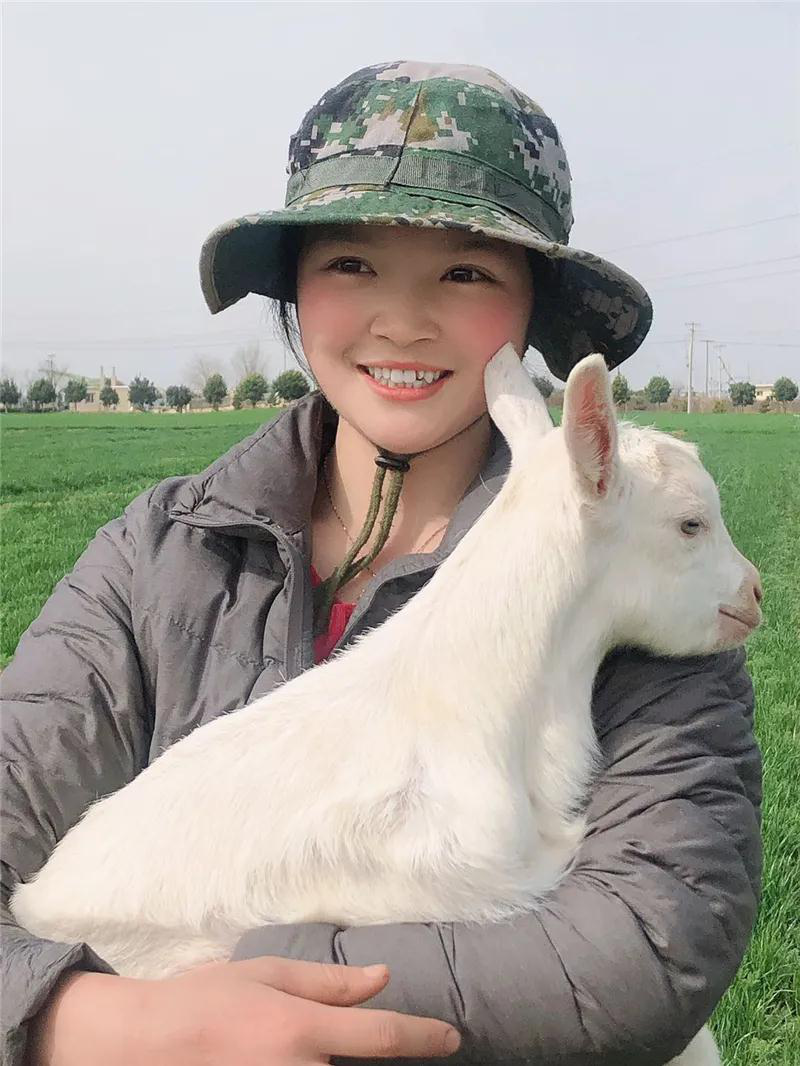 1597920238927507.png 图片8.png