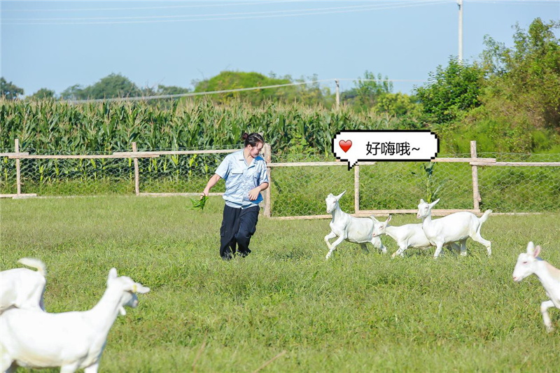 1599904084509797.jpg 图片2.jpg
