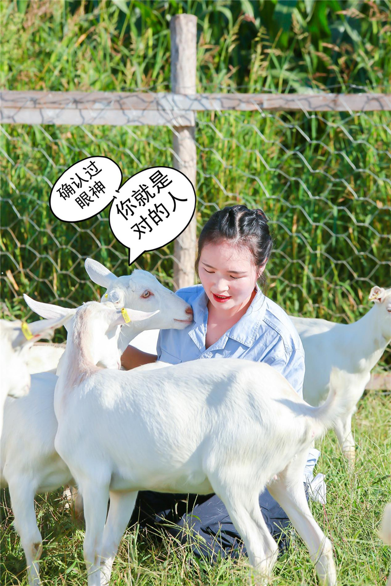 1599904134116818.jpg 图片4.jpg