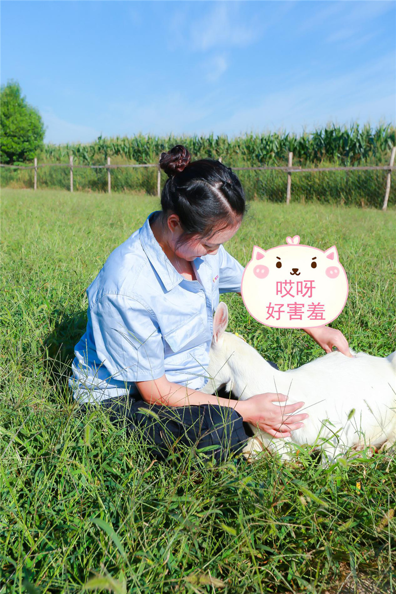 1599904147110419.jpg 图片5.jpg