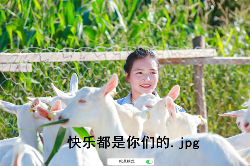 1599904190359444.jpg 图片9.jpg