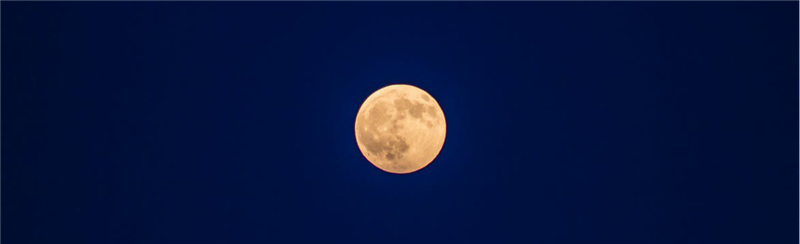 1600756840125842.jpg 图片2.jpg