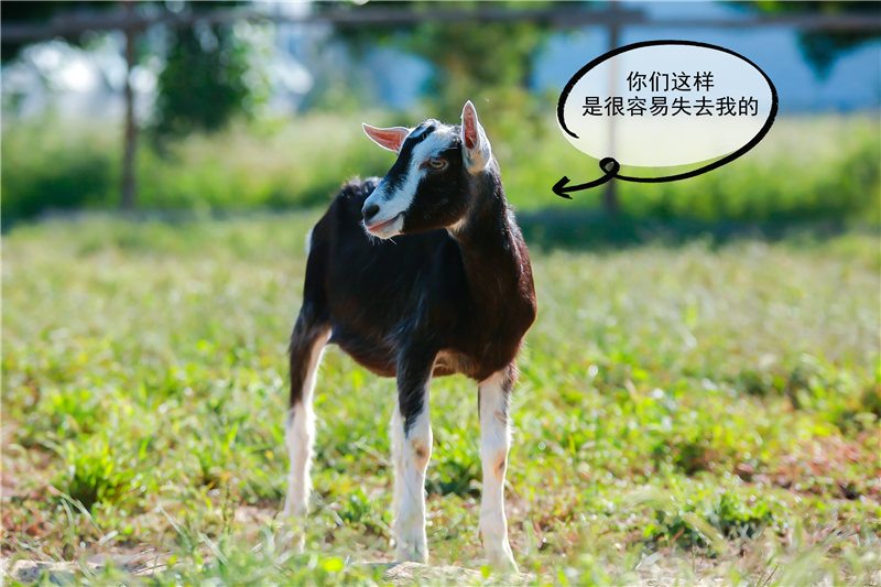 1600756848127025.jpg 微信图片_20200922113125.jpg