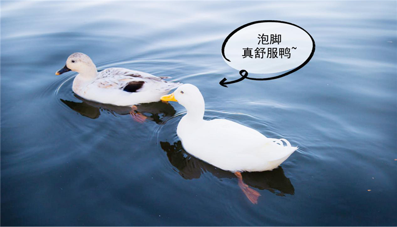 1602144034133846.jpg 图片6.jpg