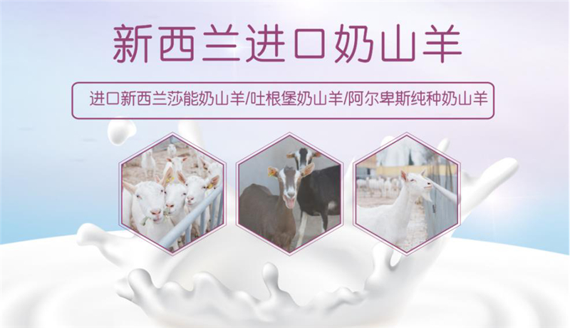 1602929727217826.jpg 图片7.jpg