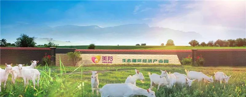 1606123204133901.png 图片.png